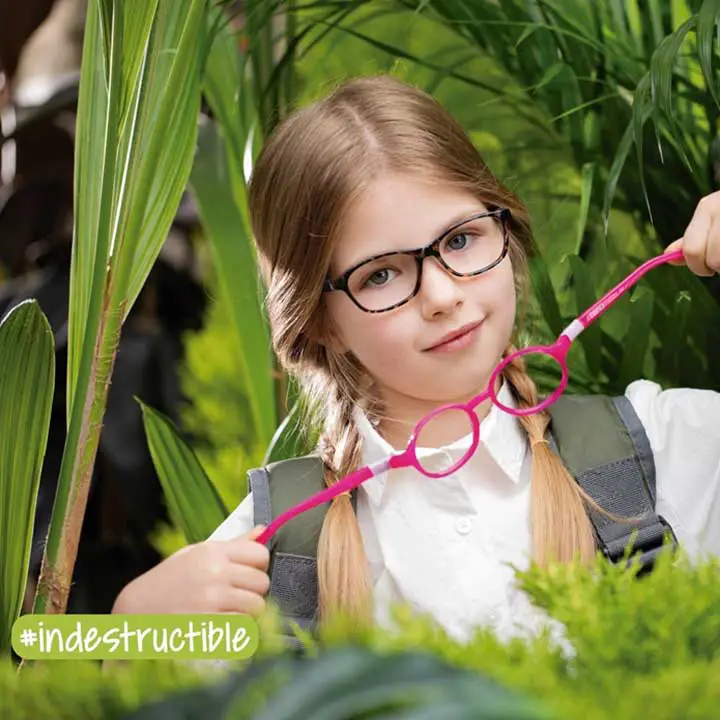 NanoVista Glasses Model