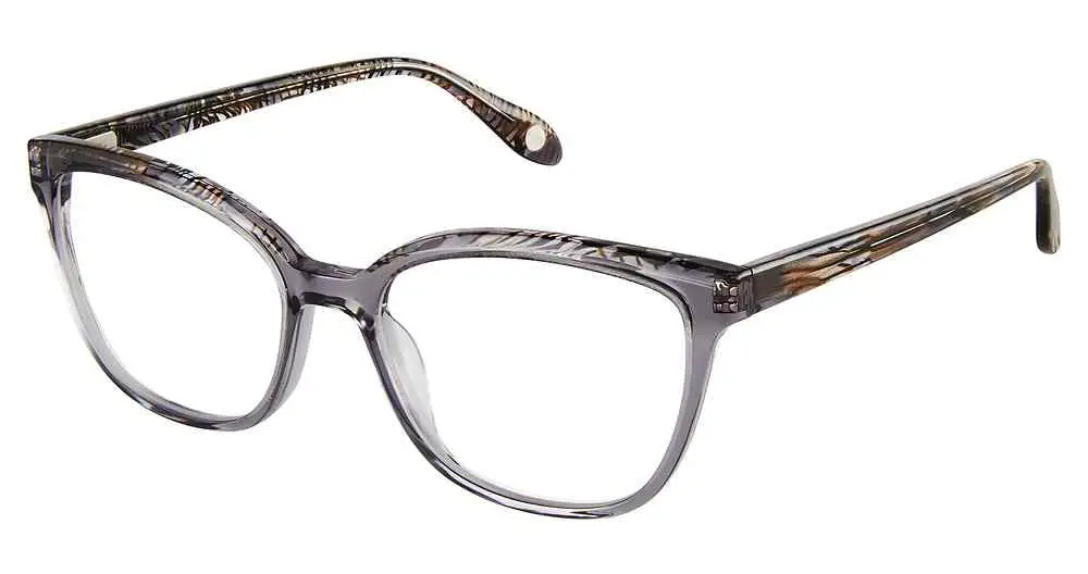 F-3704 FYSH Eyeglass Frame F-3704