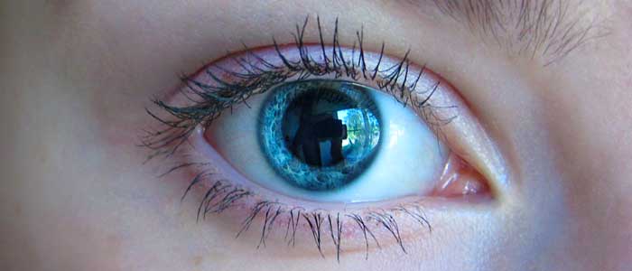 Eye Exams: Eye Alignment - assessing for strabismus