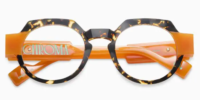 Etnia Barcelona Chroma N20 Women's Eyeglass Frame in Edmonton